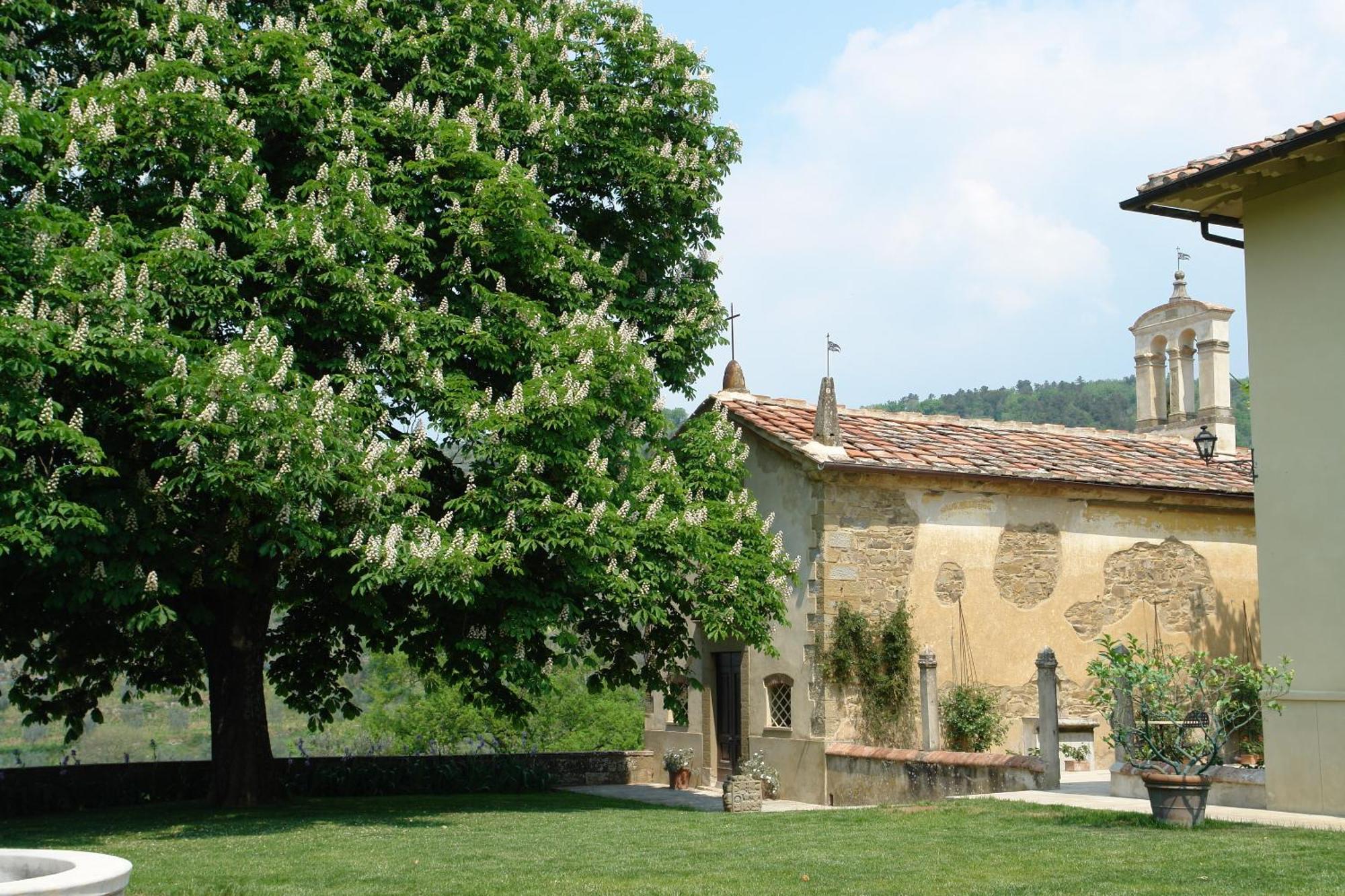 Relais Villa Belpoggio - Residenza D'Epoca Лоро-Чуффенна Экстерьер фото