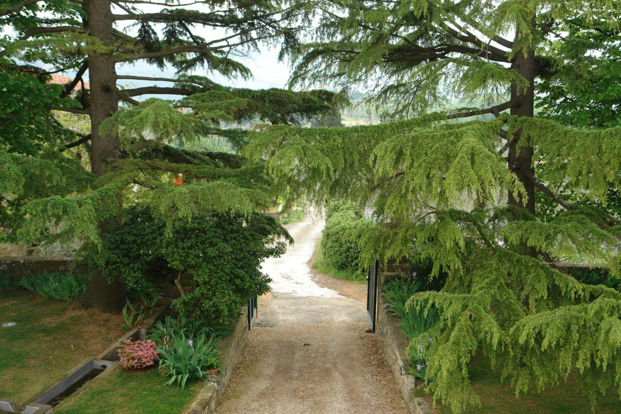 Relais Villa Belpoggio - Residenza D'Epoca Лоро-Чуффенна Номер фото